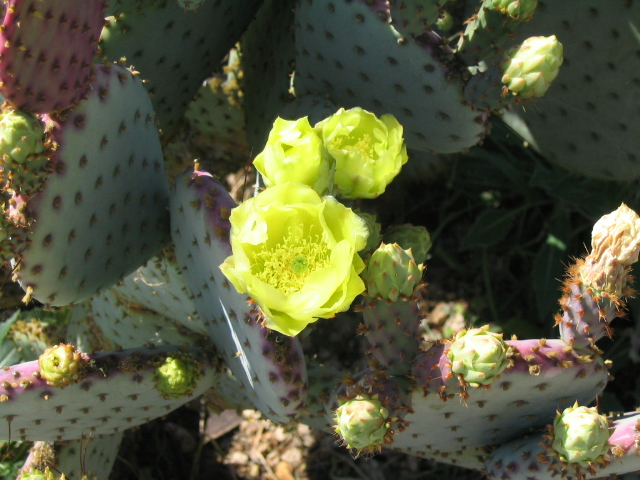 618x457 pixels (178K)